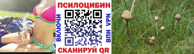 мега ссылка  наркотики  Барабинск  Галлюциногенные грибы Magic Shrooms 