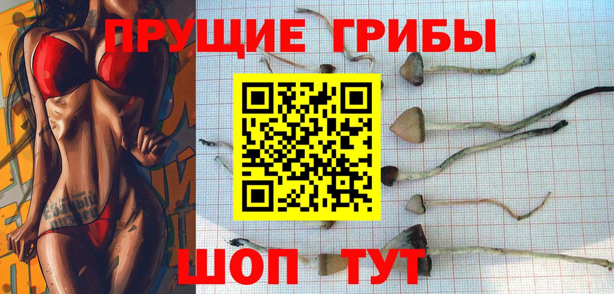 Галлюциногенные грибы прущие грибы  Вход с VPN  Барабинск 