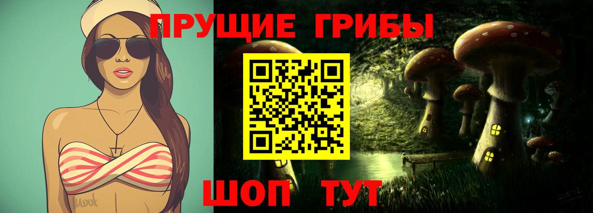 Галлюциногенные грибы Psilocybe Барабинск