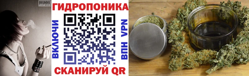 Бошки Шишки планчик  цена   OMG сайт  Барабинск 